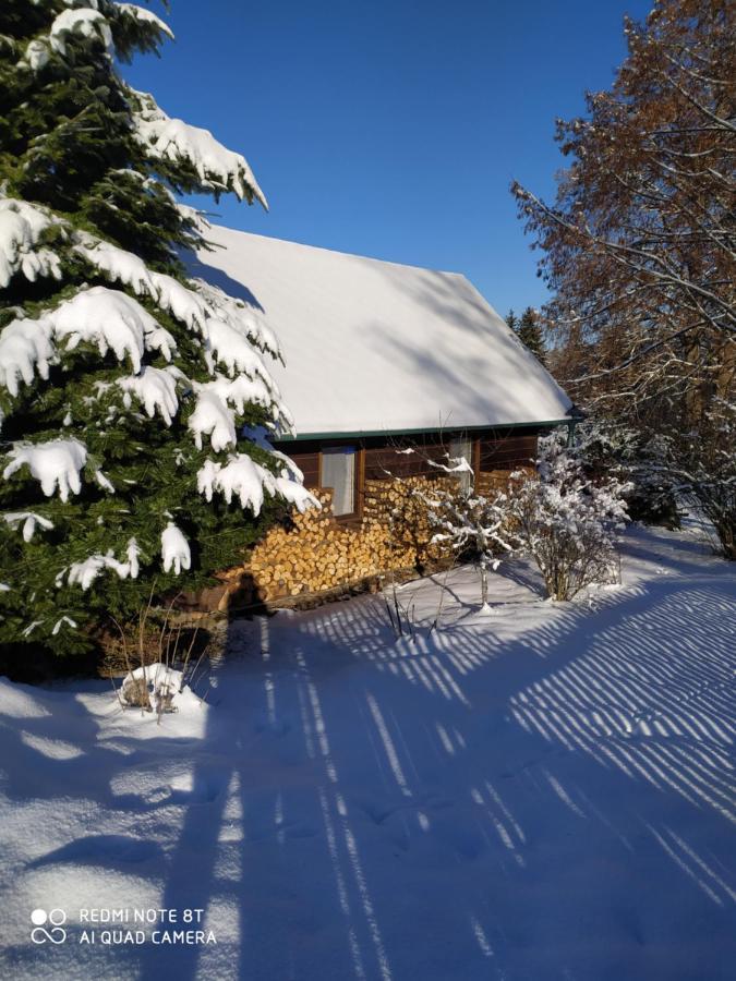 Vila Chata Dvorečná Loučovice Exteriér fotografie