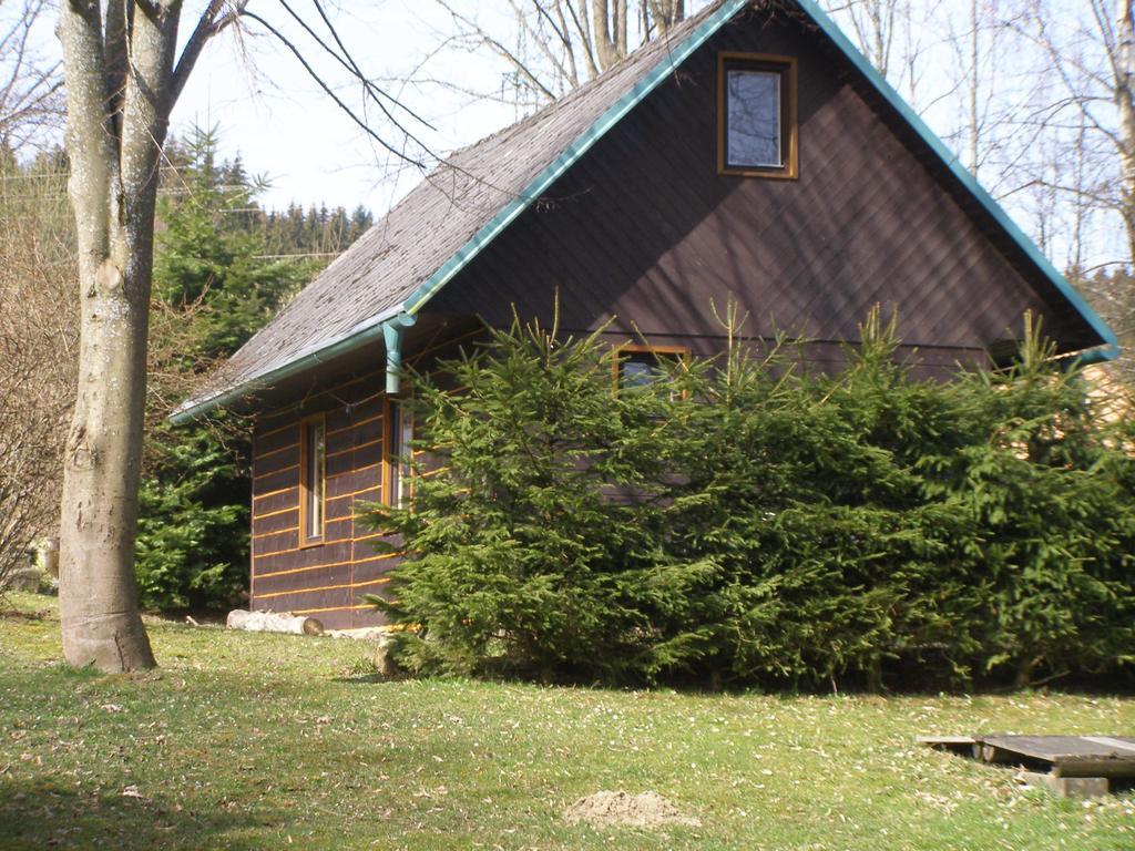 Vila Chata Dvorečná Loučovice Exteriér fotografie