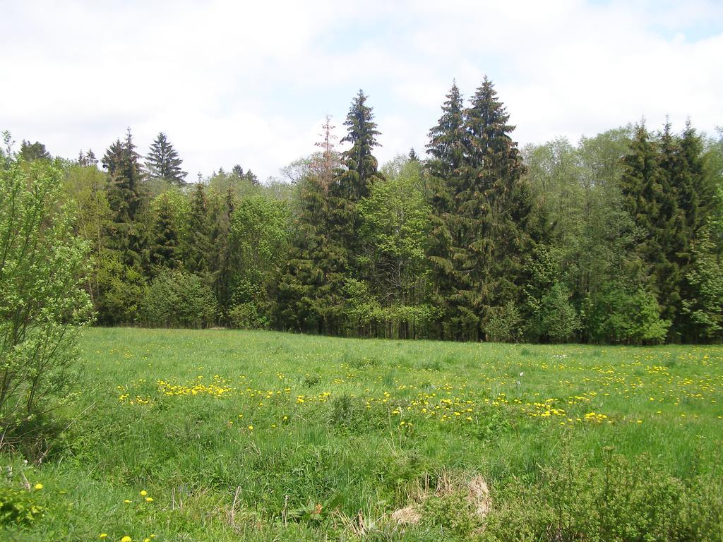 Vila Chata Dvorečná Loučovice Exteriér fotografie