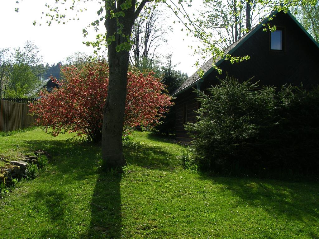Vila Chata Dvorečná Loučovice Exteriér fotografie