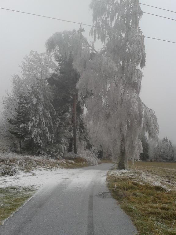 Vila Chata Dvorečná Loučovice Exteriér fotografie