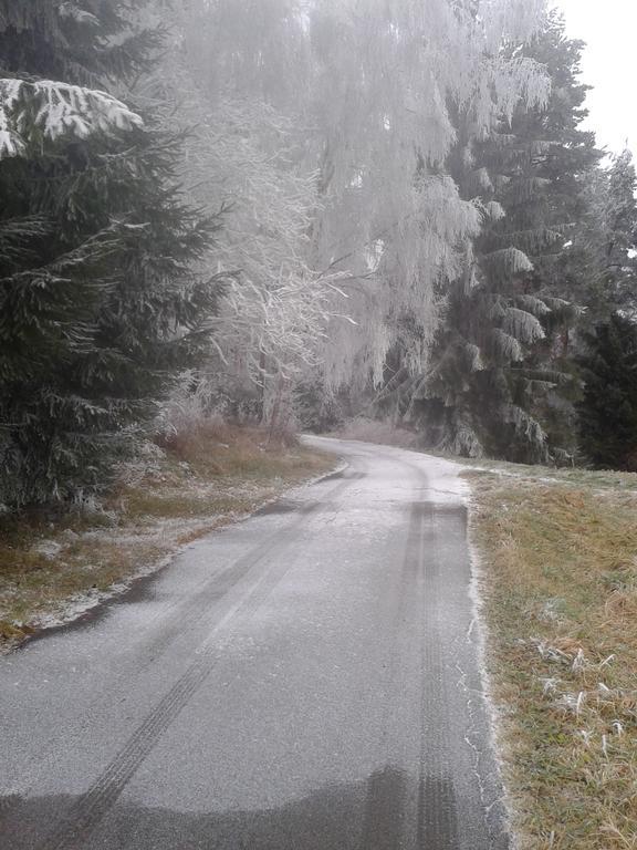 Vila Chata Dvorečná Loučovice Exteriér fotografie