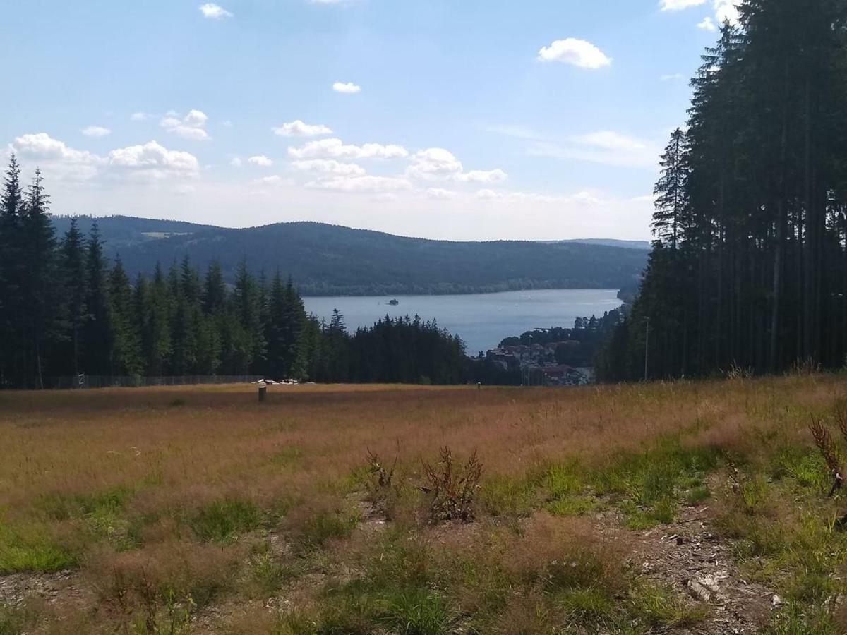 Vila Chata Dvorečná Loučovice Exteriér fotografie